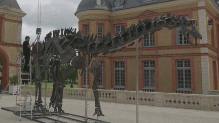 Enchères : un dinosaure géant en vente dans les Yvelines