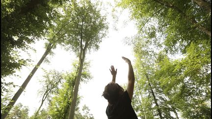 Bain de forêt musical en forêt de Compiègne. (Ludovic Leleu/ Festival des forets de Compiègne)