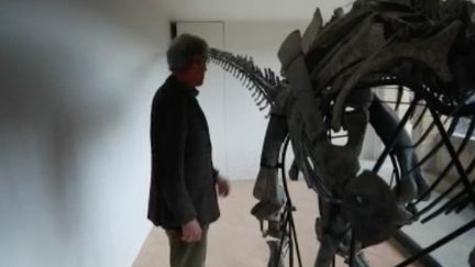 Il reste encore de nombreux fossiles et os de dinosaures à découvrir sur la planète. Après les musées et les chercheurs, les collectionneurs privés s'y intéressent de plus en plus. Chaque année, les ventes battent des records. (FRANCE 2)