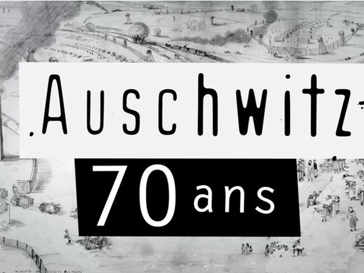 70e Anniversaire De La Liberation D Auschwitz Dix Livres Pour Mieux Comprendre La Shoah