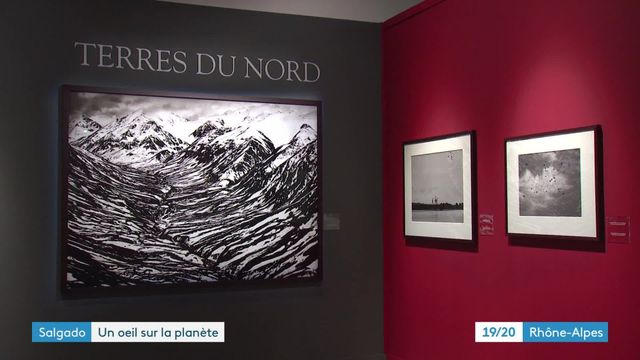 "Genesis" : l'exposition de Sebastiao Salgado à Lyon