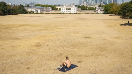 Un homme&nbsp;prend le soleil dans le parc de&nbsp;Greenwich, à Londres, le 14 août 2022. Il profite seul de la pelouse, habituellement verte, cramée par le soleil et le manque de pluie. La sécheresse qui touche actuellement le Royaume-Uni est la plus forte depuis 50 ans. (MAXPPP)