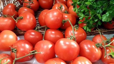 Tomates - photo d'illustration (G?RARD HOUIN / MAXPPP)