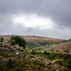 Des nuages orageux se forment au-dessus des Cévennes, en Lozère, le 15 août 2024. (BENJAMIN POLGE / HANS LUCAS / AFP)