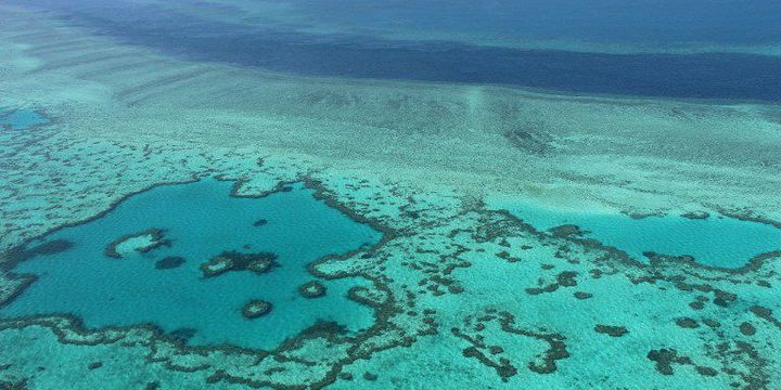 La Grande barrière de corail, en Australie. Outre ses matières premières, le pays dispose de ressources importantes dans l'industrie des services, comme le tourisme. (Sarah Lai / AFP)