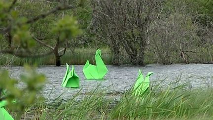 &quot;Origamis&quot; d&#039;Antoine Milian à la Tourbière de Gayme
 (France 3 / Culturebox)