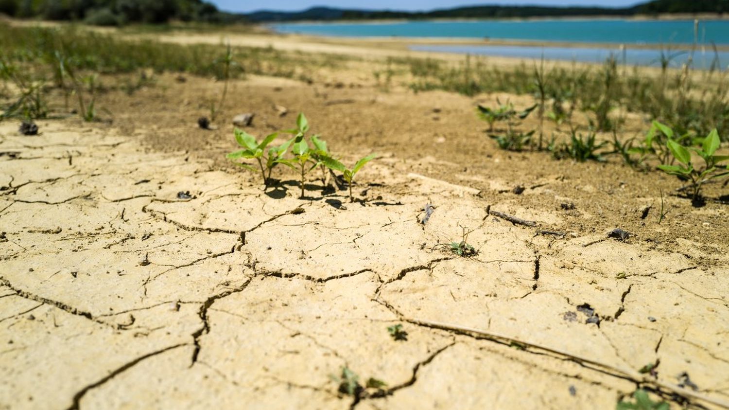 Stockage dans les sols, recyclage des eaux usées, création d'espaces verts… Quelles sont les pistes pour économiser l'eau à long terme ?