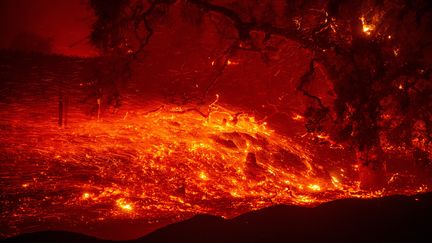 Des braises du Kincade fire, près de Geyserville (Etats-Unis), le 24 octobre 2019. (JOSH EDELSON / AFP)