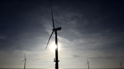 Un parc éolien offshore allemand en mer du Nord. (TOBIAS SCHWARZ,- / AFP)