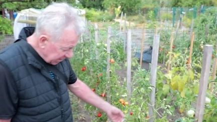 Haute-Garonne : des jardins familiaux en souffrance et des terres sèches (FRANCE 2)