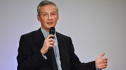 &nbsp; (Bruno Le Maire a obtenu près de 30% des suffrages © MAXPPP)