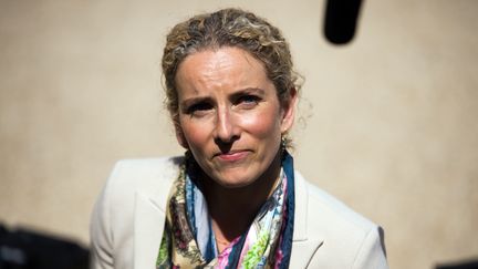 L'ancienne ministre de l'Ecologie Delphine Batho r&eacute;pond aux questions des journalistes devant l'Elys&eacute;e, le 5 juin 2013. (LIONEL BONAVENTURE / AFP)