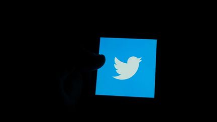 Le logo de Twitter, à Londres (Royaume-Uni), en février 2020. (GIANNIS ALEXOPOULOS / NURPHOTO / AFP)