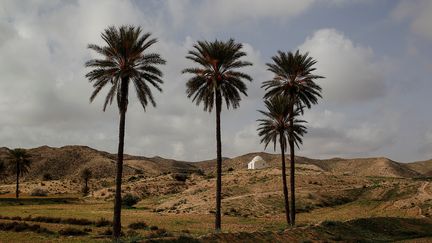 Les monts Matmata dominent le village du même nom, situé à 365 km de Tunis, dans la vaste plaine de la Djeffara, à cheval sur le sud-est de la Tunisie et le nord-ouest de la Libye. Depuis des siècles, des familles berbères vivent là dans des maisons enfouies dans le sol. &nbsp; (ZOHRA BENSEMRA/REUTERS)