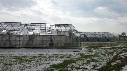 Des b&acirc;timents de l'INRA (Institut National de la Recherche agronomique) ont &eacute;t&eacute; ab&icirc;m&eacute;s par une averse de gr&ecirc;le &agrave; Lusignan (Vienne), le 9 juin 2014. (MARIE-NOËLLE MISSUD / FRANCE 3 POITOU-CHARENTES)