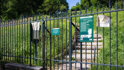 Le parc des Buttes-Chaumont, à Paris, le 21 mai 2020. (AMAURY CORNU / HANS LUCAS / AFP)