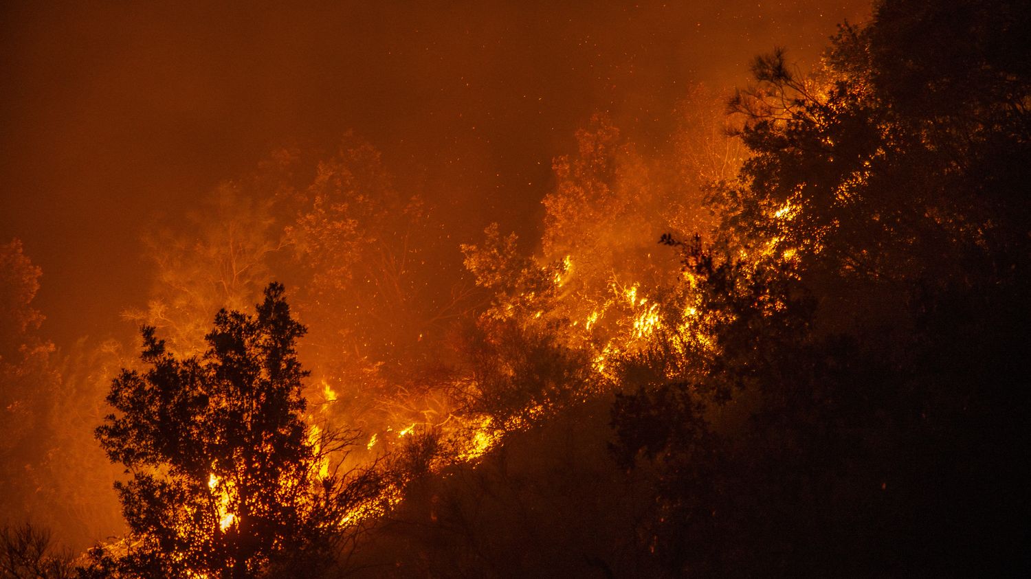 Incendie En Italie : Décrivant Des "montagnes Brûlées", Ces Siciliens ...