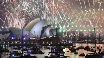 Le célèbre feu d'artifice de Sydney (Australie), le 1er janvier 2019.&nbsp; (PETER PARKS / AFP)