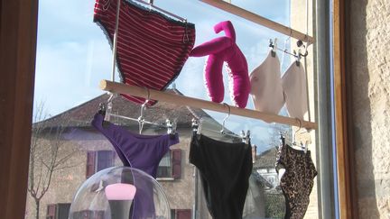 Une boutique dédiée aux culottes menstruelles a ouvert aux Abrets-en-Dauphiné, en Isère. (France 3)