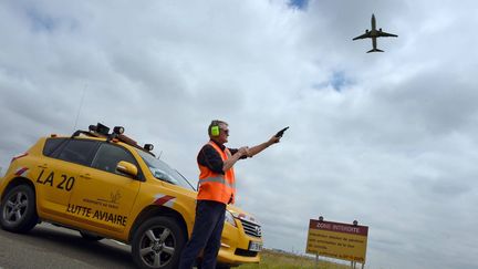 Crash d'un avion en Corée du Sud : comment les aéroports français se prémunissent contre les risques liés aux oiseaux ?