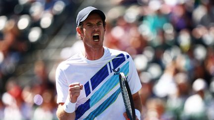 Le Britannique Andy Murray lors de son premier tour victorieux à Indian Wells (Californie), le 11 mars 2022.&nbsp; (CLIVE BRUNSKILL / GETTY IMAGES NORTH AMERICA / AFP)