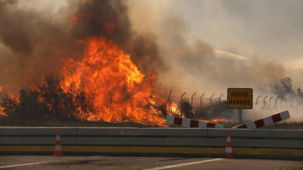 L'incendie photographié mercredi matin 10 août dans la zone de La Fossette, près de l'étang de Berre (Bouches-du-Rhône).&nbsp; (MAXPPP)