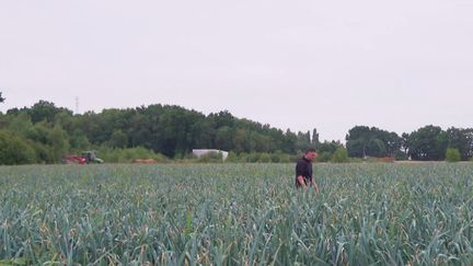 Réchauffement climatique : des fleuves et des terres agricoles de plus en plus secs