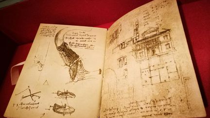 Un manuscrit de Léonard de Vinci exposé dans un des musées du Capitole, à Rome (Italie), en 2017. (ESPECIAL / NOTIMEX / AFP)