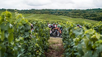 Le peloton sillonne le vignoble champenois entre Reims et Epernay lors de la troisième étape, le 26 juillet 2022, offrant des paysages à couper le souffle. (THOMAS MAHEUX / ASO)