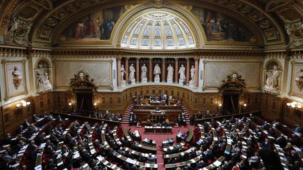 Une vue de l'h&eacute;micycle du S&eacute;nat, le 28 octobre 2014. (FRANCOIS GUILLOT / AFP)