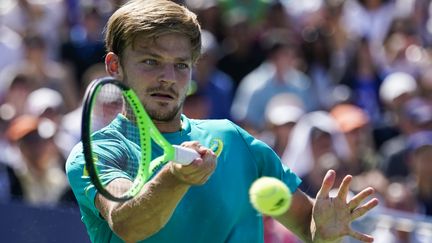 Le Belge David Goffin. (EDUARDO MUNOZ ALVAREZ / AFP)