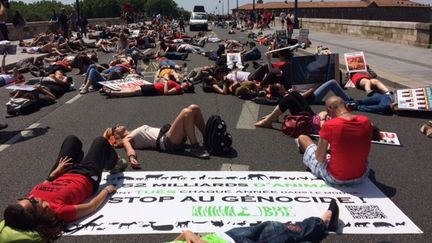 Des manifestants se couchent sur la chaussée à Toulouse, le 27 mai 2017, pour demander la fermeture des abattoirs. (FRANCE 3 OCCITANIE)