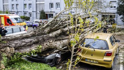 Un arbre tombé sur une voiture, le 8 avril 2022 à Nantes (Loire-Atlantique). (MAXPPP)