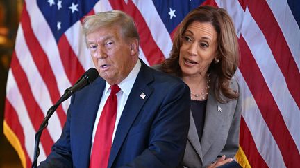 Donald Trump et Kamala Harris. (AFP / PHOTOMONTAGE STEPHANIE BERLU / RADIOFRANCE)