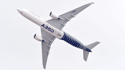 &nbsp; (L'A350, l'une des vedettes de ce salon du Bourget 2015 © MaxPPP)