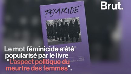 VIDEO. De plus en plus utilisé en France, que veut dire le mot "féminicide" ?&nbsp; (BRUT)