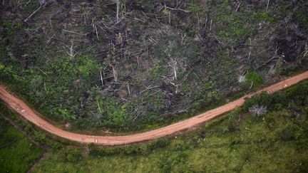 Une parcelle de forêt abattue, le 3 septembre 2020 à La Macarena (Colombie). Le pays est le plus dangereux pour les défenseurs de l'environnemment, avec 65 morts en 2020. (RAUL ARBOLEDA / AFP)