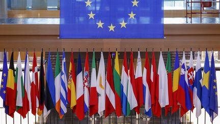 Les drapeaux des Etats de l'Union européenne, au Parlement européen à Strasbourg, le 24 novembre 2021. (JULIEN WARNAND / AFP)