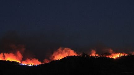 Un feu de forêt touche le secteur de La Bastidonne (Vaucluse), le 24 juillet 2017. (CITIZENSIDE / J-P PETIT / AFP)