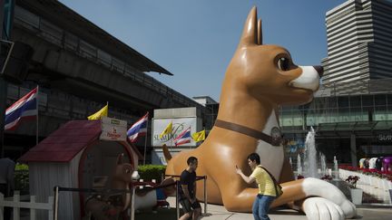 Des statues exposées à Bangkok, en Thaïlande, en décembre 2015, pour la promotion&nbsp;du dessin animé "Khun Tongdaeng" sur la chienne préférée du roi&nbsp;thaïlandais. (NICOLAS ASFOURI / AFP)