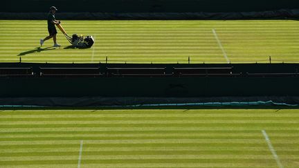 La tonte et le marquage des lignes sont réalisés chaque jour sur tous les terrains, pendant le tournoi de Wimbledon. (GLYN KIRK / AFP)