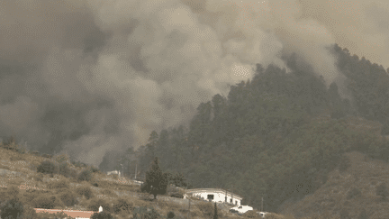 Incendie à Tenerife : près de 4 000 hectares ont brûlés sur l’île (France 3)