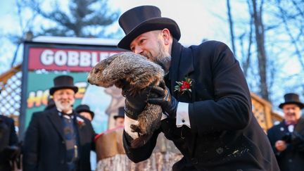 La marmotte Phil lors du "jour de la marmotte", à Punxsutawney (Pennsylvanie, Etats-Unis), le 2 février 2022. (TAYFUN COSKUN / ANADOLU AGENCY)