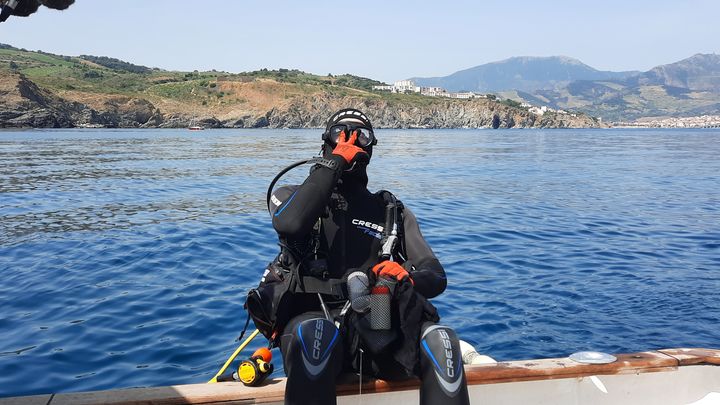 Un chercheur plonge pour étudier la biodiversité sous marine de&nbsp;la réserve naturelle de&nbsp;Cerbère-Banyuls.&nbsp; (CÉLIA QUILLERET / RADIO FRANCE)