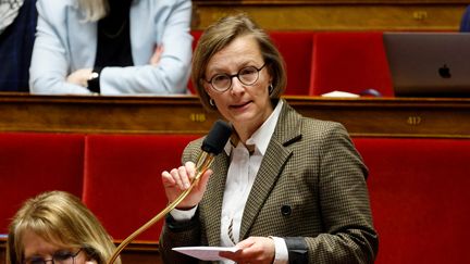 Stella Dupont, députée apparentée Renaissance et co-rapporteure spéciale de la Commission des finances pour la mission "immigration, asile, intégration", le 14 février 2023. (LUDOVIC MARIN / AFP)