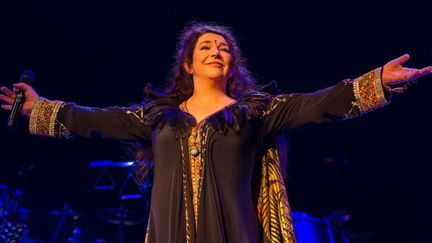 Kate Bush sur scène en 2014
 (Ken McKay/REX/REX/SIPA )