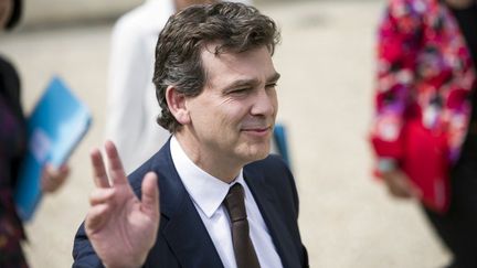 Le ministre du Redressement productif, Arnaud Montebourg,&nbsp;arrive au Conseil des ministres &agrave; l'Elys&eacute;e, le 6 juin 2012, &agrave; Paris. (FRED DUFOUR / AFP)