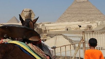 Un jeune guide attend d'hypothétiques tousites devant les pyramides. 3 Août 2013. (Fayer Nureldine/AFP)