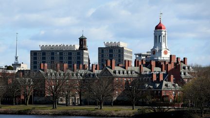 L'université de Harvard, à Cambridge, dans le Massachusets (Etats-Unis), le 22 avril 2020.&nbsp; (MADDIE MEYER / GETTY IMAGES NORTH AMERICA / AFP)