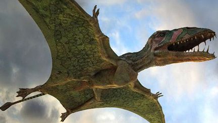 Dimorphodon en plein vol dans &quot;Ptérodactyles 3D : Dans le ciel des dinosaures&quot; de Matthew Dyas
 (Les Productions de la Géode)